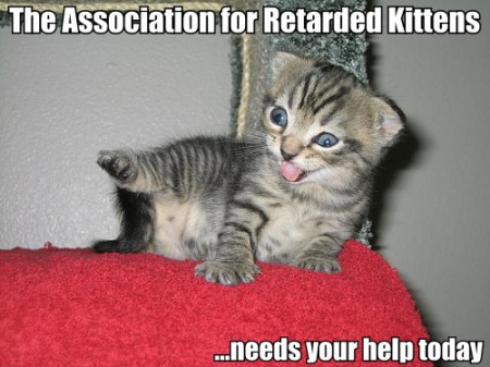 lolcats_retardedkittens lolcats_retardedkittens